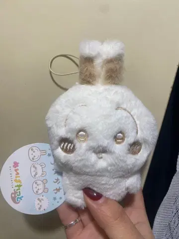 치이카와 (먼작귀) 누이팔레트 ~밀크색~ 마스코트 토끼