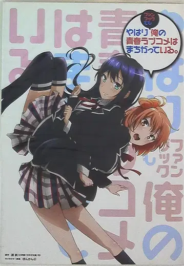 TV 애니메이션 역시 내 청춘 러브코미디는 잘못됐다. 팬북