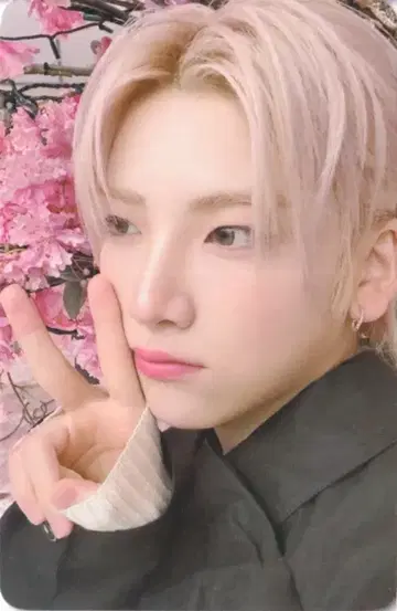 &TEAM Weverse JAPAN YUMA 설명(Yukiakari)