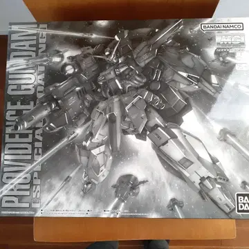 PROVIDENCE GUNDAM 1/100 특별 코팅