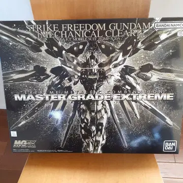 스트라이크 프리덤 건담 MG 익스트림