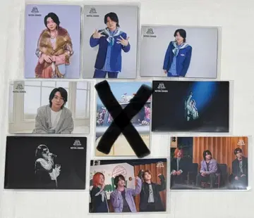 미세스 그린애플 젠진미도와 벨트라움 포토 카드