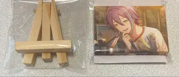 프로세카 카미시로 루이 마이세카이 미니캔버스 컬렉션