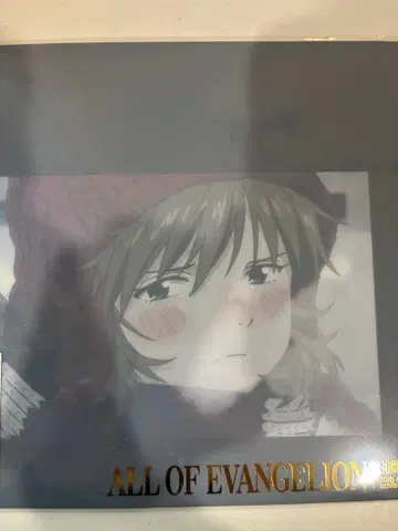 에바전 아스카 30주년 기념 All OF EVANGELION 클리어 파일