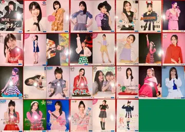 [ L판 ] 안쥬르므 타메나가 시온 씨 30점 세트