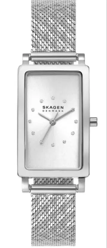 SKAGEN 스카겐 여성용 아날로그 스테인리스 손목시계