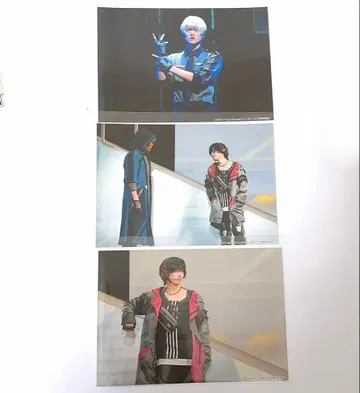 에리스테 리피특 오스카&페이스