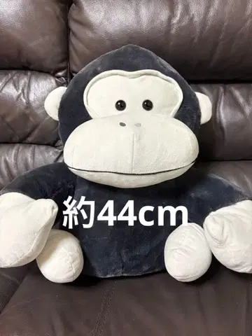 와쿠! 고릴라 브라더스