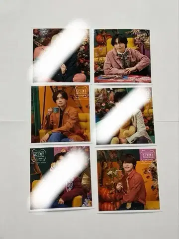 나니와단시 정사각형 포토 후쿠오카 한정판 가을