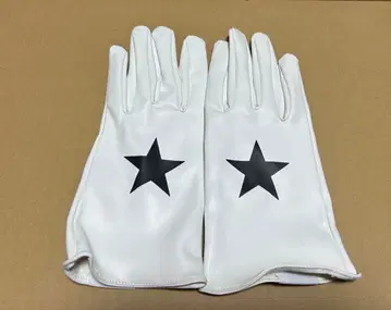 라이치 히카리 클럽 럭키백 장갑 제라