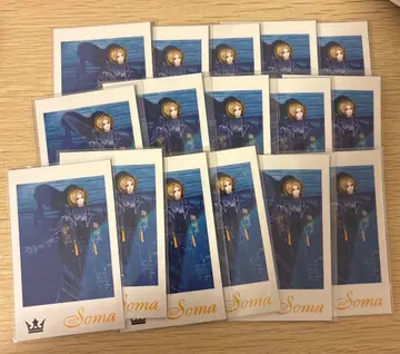 Knight A - 기사A - 소마 폴라로이드풍 포토 카드 실사 16장