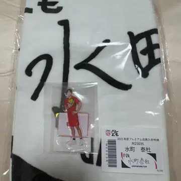 미즈마치 타이토 모바가챠 아크릴 스탠드 발레토모 타월