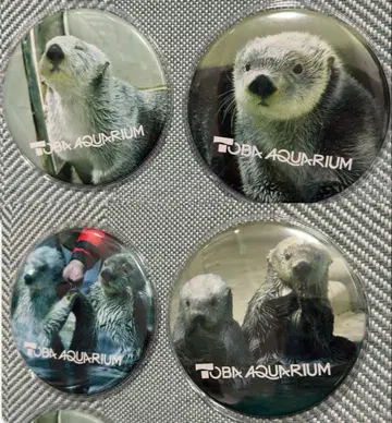 메이짱 키라짱 특대형 캔뱃지