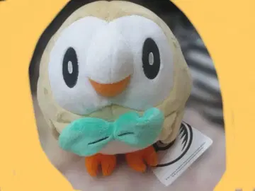 택 포함 포켓몬 센터 오리지널 봉제 인형 모쿠로 정품