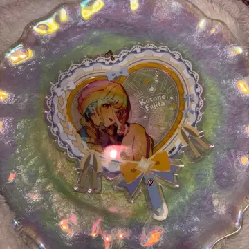 후지타 코토네 피쿠리아 프레임 세트