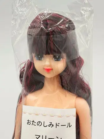 마린 리카짱 캐슬 오타노시미 인형 블랙 보라색 헤어 제니 프렌드