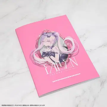 rurudo 선생님 개인전 FALLEN 공식 도록