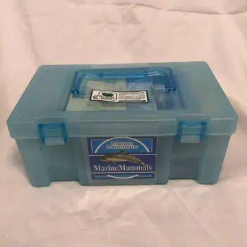 COLORATA Marine Mammals 피규어 수족관 마린마말