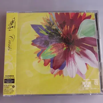 미개봉 GazettE Cassis 2장 세트 / 비주얼계 / V계