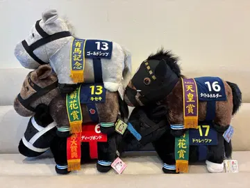 [ 사랑받는 개성파 ] 골드십 & 스테이어 5두 세트 서러브레드 컬렉션