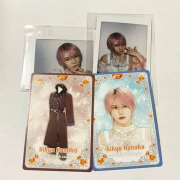 AVAM 키쿄카코 런치 폴라로이드 트레이딩 카드 세트