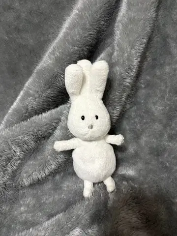 오지기짱 밤과 케로