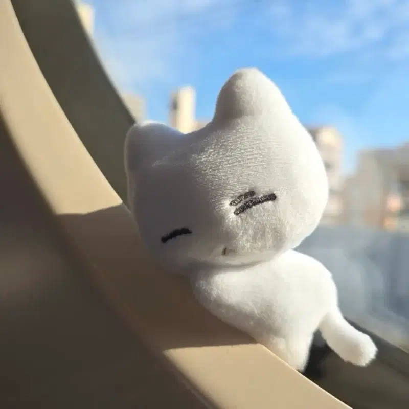 눕삐냥 보이넥스트도어 성호 인형 양도