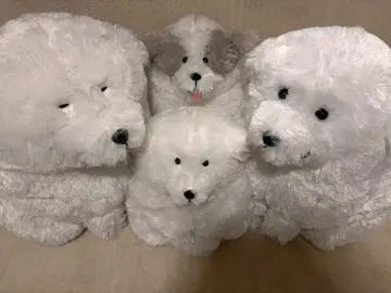 말랑말랑 그레이트 피레니즈 세트