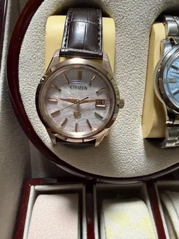 AQ4106-00A 더 시티즌