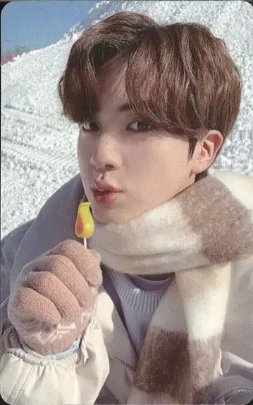 BTS 2021 WINTER PACKAGE JIN 트레이딩 카드 양면