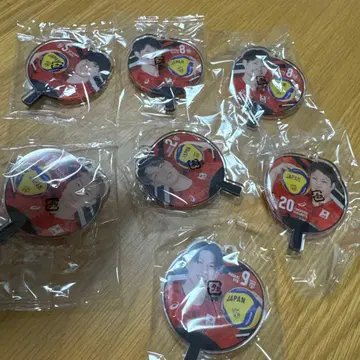 배구 남자 일본 대표 부채 아크릴 참