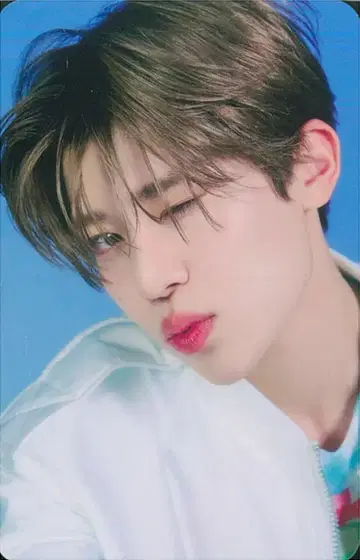 NCT WISH 시온 Songbird