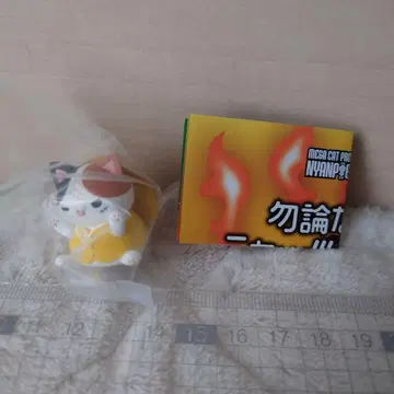 원피스 냥피스냥! 루피와 정상전쟁 편