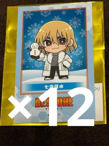 닥터 스톤 눈 축제 미니 캐릭터 폴라로이드풍 카드 나나미 류스이 12장