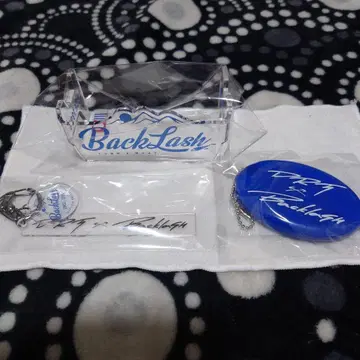 백래쉬 DRT 키링 루어 스탠드