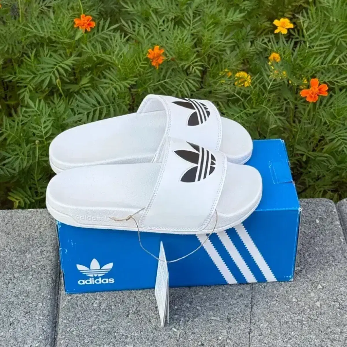 adidas gazelle silver green womens adidas Originals Superstar II