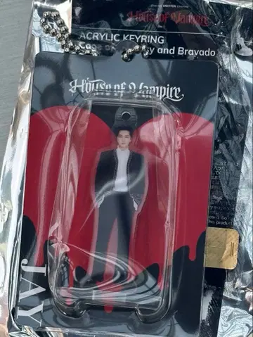 ENHYPEN 뮤지엄 질투 아크링 키링 제이