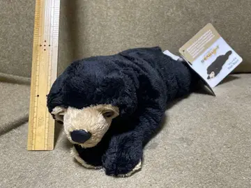 칼로라타 말레이곰 봉제 인형 눋기 시리즈 택 포함 미사용