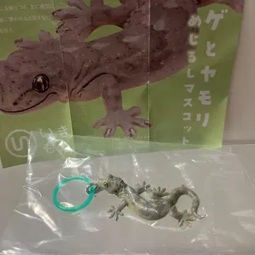 네이처 테크니컬러 도마뱀과 도마뱀 메지루시 마스코트 일본도마뱀