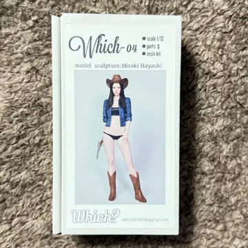 Which-04 1/12 스케일 레진 키트