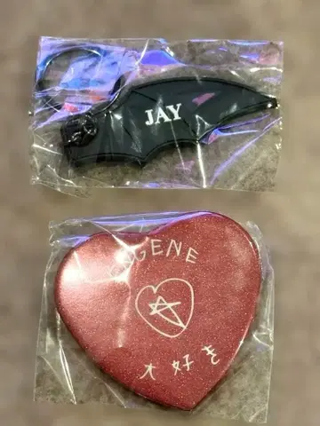 ENHYPEN 뮤지엄 Jay 제이 House of Vampire