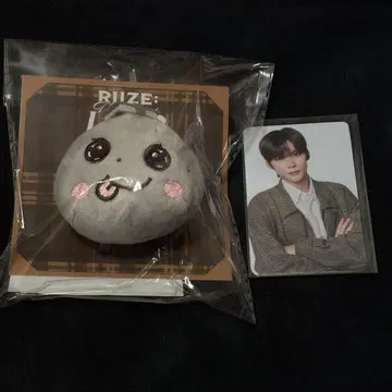 은석 팬미팅 인형 배지 riize 트레이딩 카드 성찬 인형