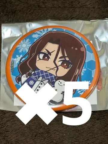닥터 스톤 눈 축제 미니 캐릭터 캔뱃지 츠카사 5개