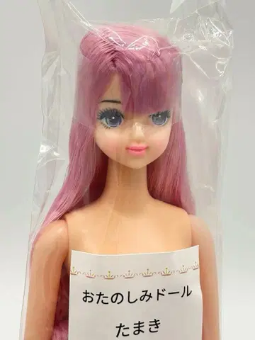 타마키 리카짱 캐슬 오타노시미 인형 핑크 보라색 계열 헤어 제니 프렌드
