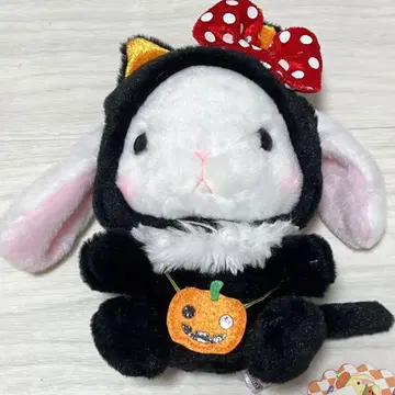 포테우사 롯삐 할로윈 시로삐