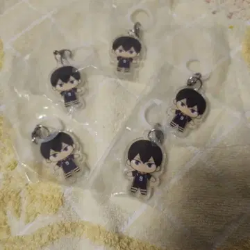 하이큐!! 플랫 메지루시 액세서리 카게야마 토비오 5세트