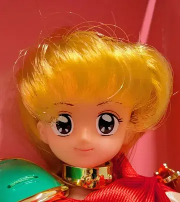 타카라 빨간 망토 차차 1/6 인형 마법의 프린세스