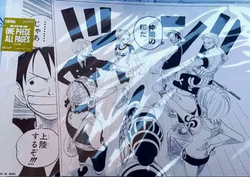 원피스 베이스샵 올 페이지 동료의 증표 비비