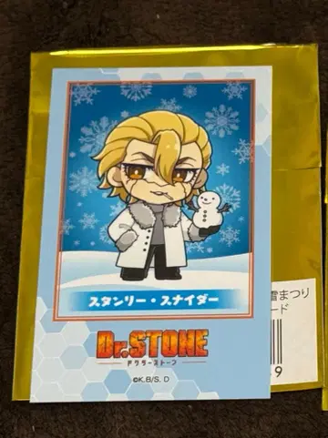 닥터스톤 눈 축제 미니 캐릭터 폴라로이드풍 카드 스나이더 4장