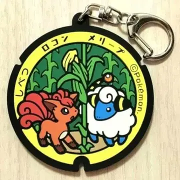 포켓몬 러버 키링 포켓몬go 포켓몬 홋카이도 로토무 멜리